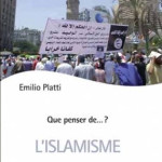 Emilio Platti, L’islamisme. Forme moderne du radicalisme islamique, Ed.Fidélité, Namur 2016,117 p.